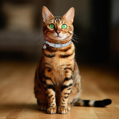 OOPSDOGGY Rolled Leather Cat Collar with Bell, Reflective Kitten Collars with Buckle Include Safety Elastic Strap - Adjustable Small Pet Collars for Boy Girl Cats (White)