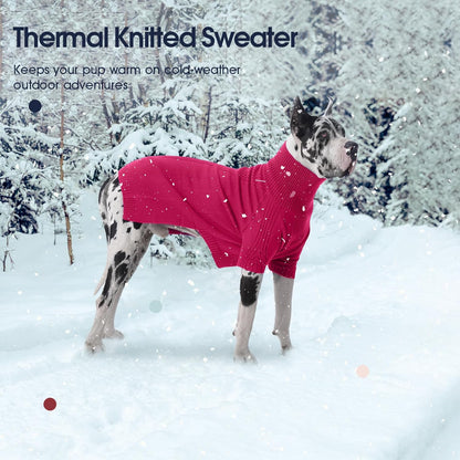 IECOii Dachshund Sweater,Turtleneck Dog Sweater for Small Medium Dogs Girl Boy,Stretchy & Breathable,Warm Knitted Pullover Coat,High Neck Knitwear for Cold Weather Indoor & Outdoor Wear (Rose red,M)