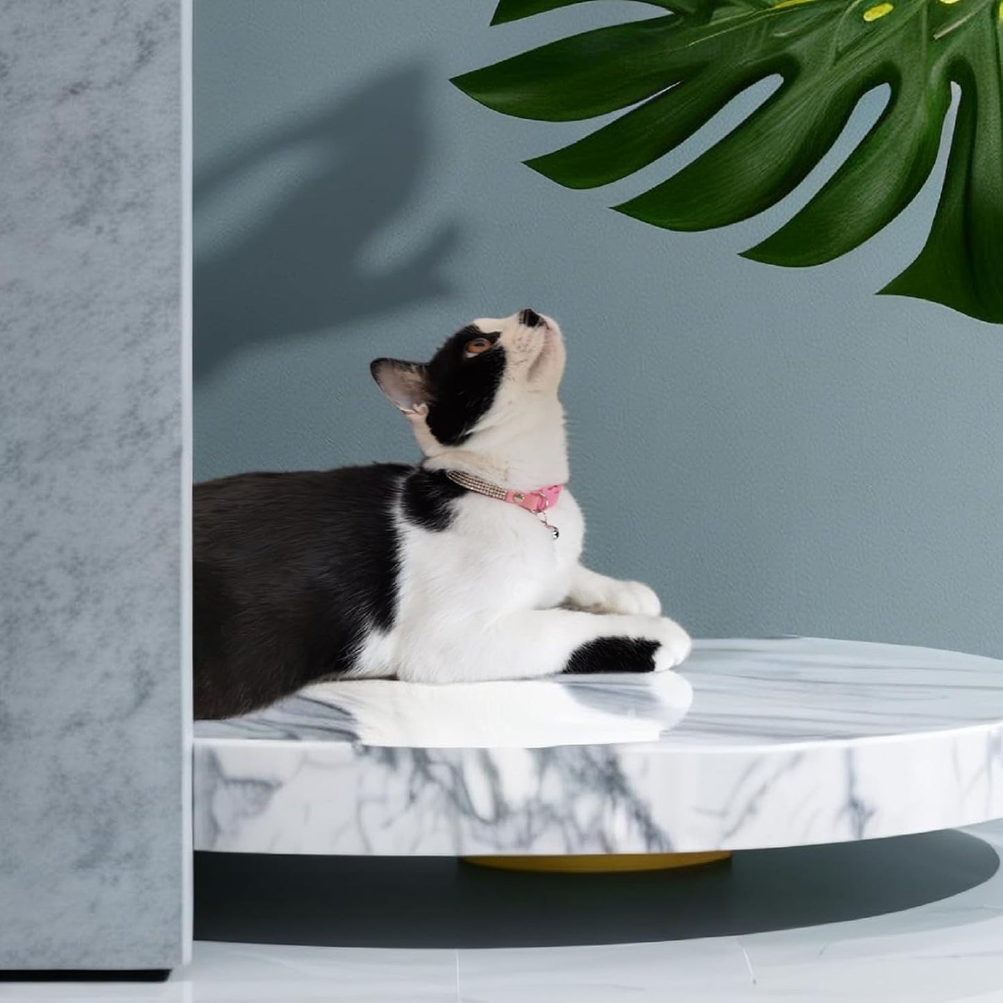 Pack of 2 Rhinestone Cat Collar Breakaway Safety Buckle with Bell, Adjustable Diamond Girl Boy Kitty Cute Comfy Collar for Kitten Small Pets Rabbits, 7.5"-11"