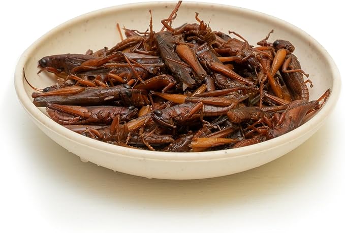 6 Pack Canned Small Grasshoppers for Reptiles, Fish, Birds and Small Animals, Grasshoppers, Healthy High Protein Treat, Bearded Dragon Food 1.2 Ounces Each