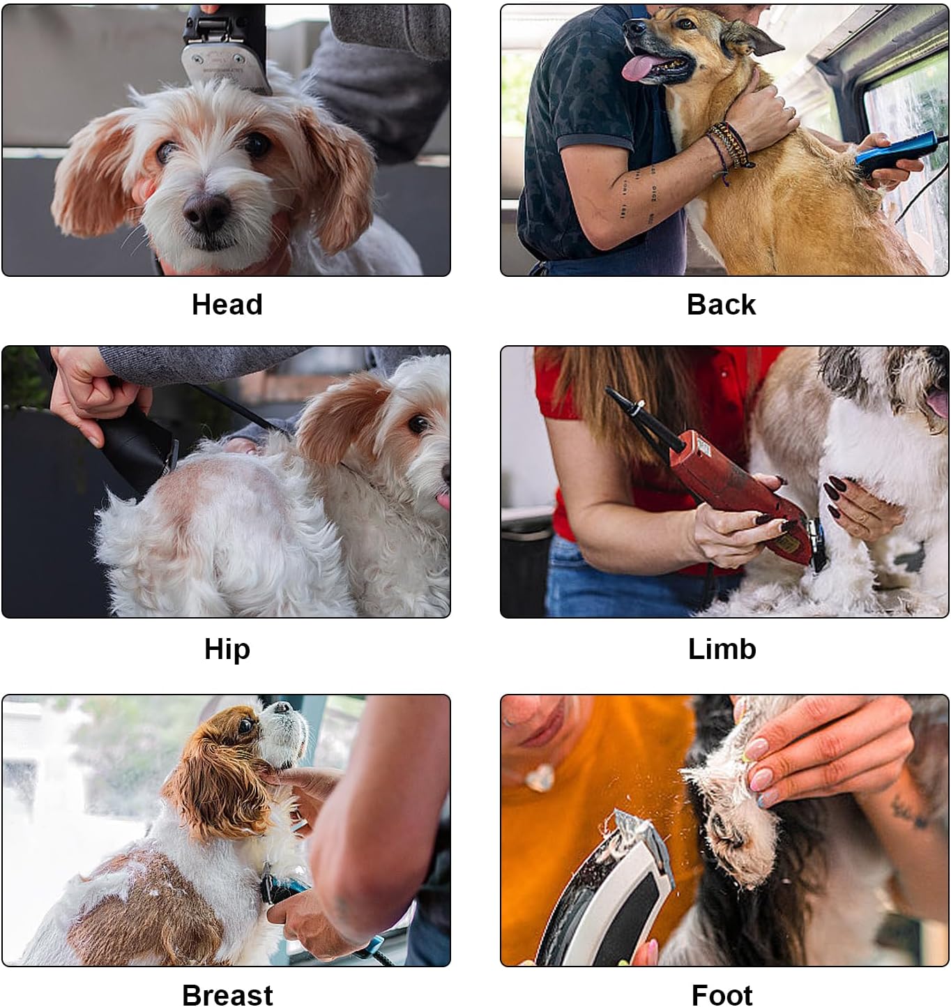 Detachable Pet Dog Clipper Blades, Compatible with Size-4FC (9.5mm), Most Oster A5, KM Series Clippers,Made of Ceramic Blade & Stainless Steel Blade 2Pack