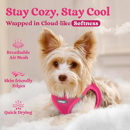 rabbitgoo Small Dog Harness, Step-in Soft Mesh Puppy Vest with Safety Buckle, Breathable Reflective Pet Harness for Small Sized Dogs, Rose Red M