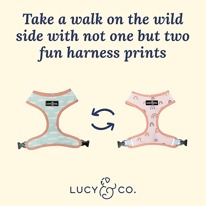 Lucy & Co. in The Clouds, Cute Reversible Dog Harness Walking Halter - Best Designer Pet Harnesses for Medium Dogs - Padded Adjustable Vest for Easy Walking (Small)