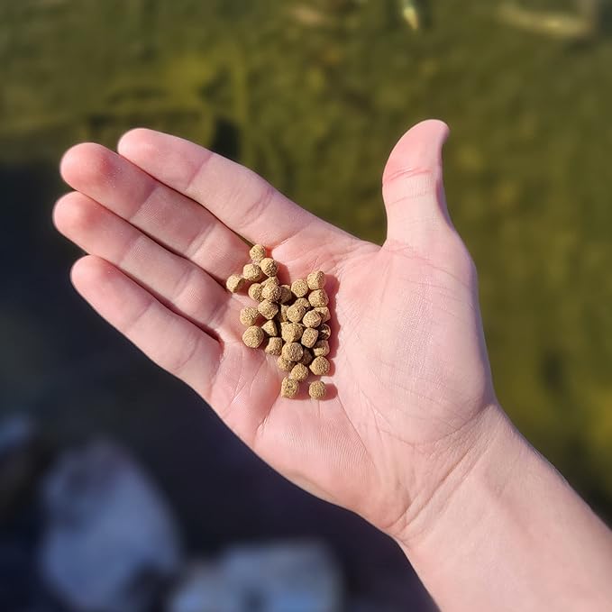 HALF OFF PONDS All Seasons Koi Fish Food - 50 lb Floating Pellets, 5mm Size - Goldfish Food for Ponds - 28% Protein with Wheat Germ & Vitamins - Ideal for Year-Round Feeding & Water Clarity