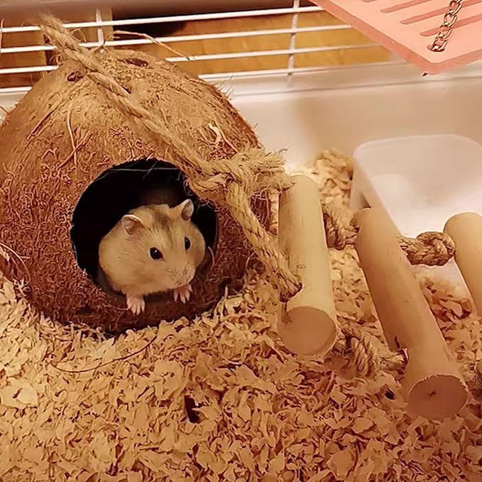 Bird Hides Coconut Nest with Wood Ladder,Syrian Hamster Cage Hanging Natural Coco Shell Hut Hide Toy with Wooden Bridge,Hollow Hideaway Toys for Small Animal Rat Lovebird Finches