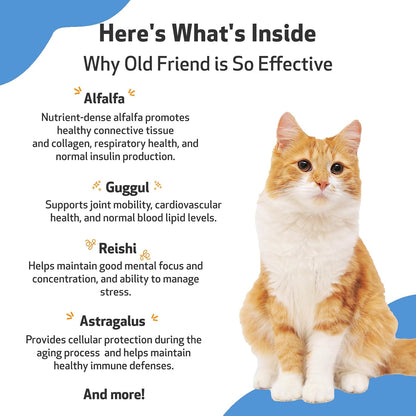 Pet Wellbeing Old Friend for Senior Cats - Supports Immune System Health, Joint Mobility, Healthy Energy Levels, Alfalfa, Reishi - Veterinarian-Formulated Herbal Supplement 2 oz (59 ml)