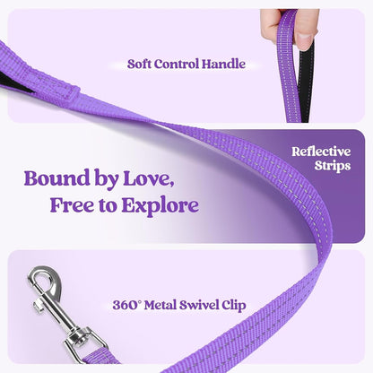 rabbitgoo Dog Harness Small Sized and Leash Set, Step in Soft Light Puppy Vest, Breathable Mesh Pet Harness, Reflective for Outdoor Safe Walking, Purple XXL