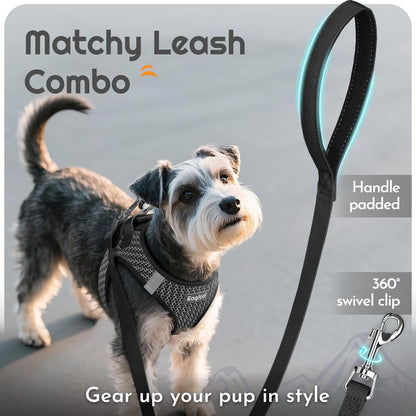 Eagloo Small Dog Harness and Leash Set, Step in Puppy Vest with Breathable Soft Mesh, Walking Reflective Pet Harness for Medium Small Dogs, Gray, M