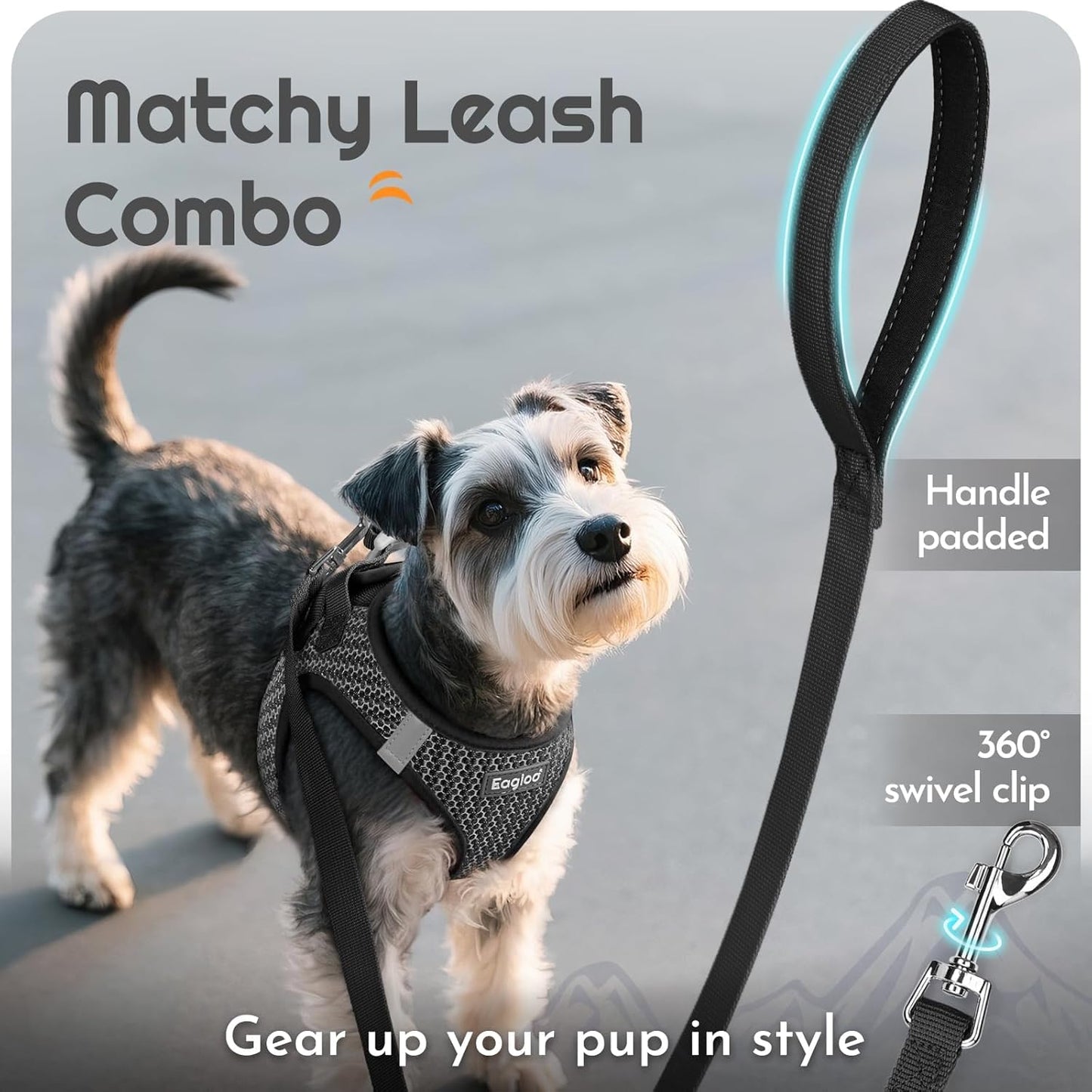 Eagloo Small Dog Harness and Leash Set, Step in Puppy Vest with Breathable Soft Mesh, Walking Reflective Pet Harness for Small Dogs, Gray, S