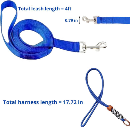 Ferret Leash Harness Adjustable Squirrel Sets, Leashes and Harnesses for Ferrets Guinea Pig Chinchilla Rat Dragon Bearded Small Animal, Pet Squirrel Ferret Accessories (Blue)