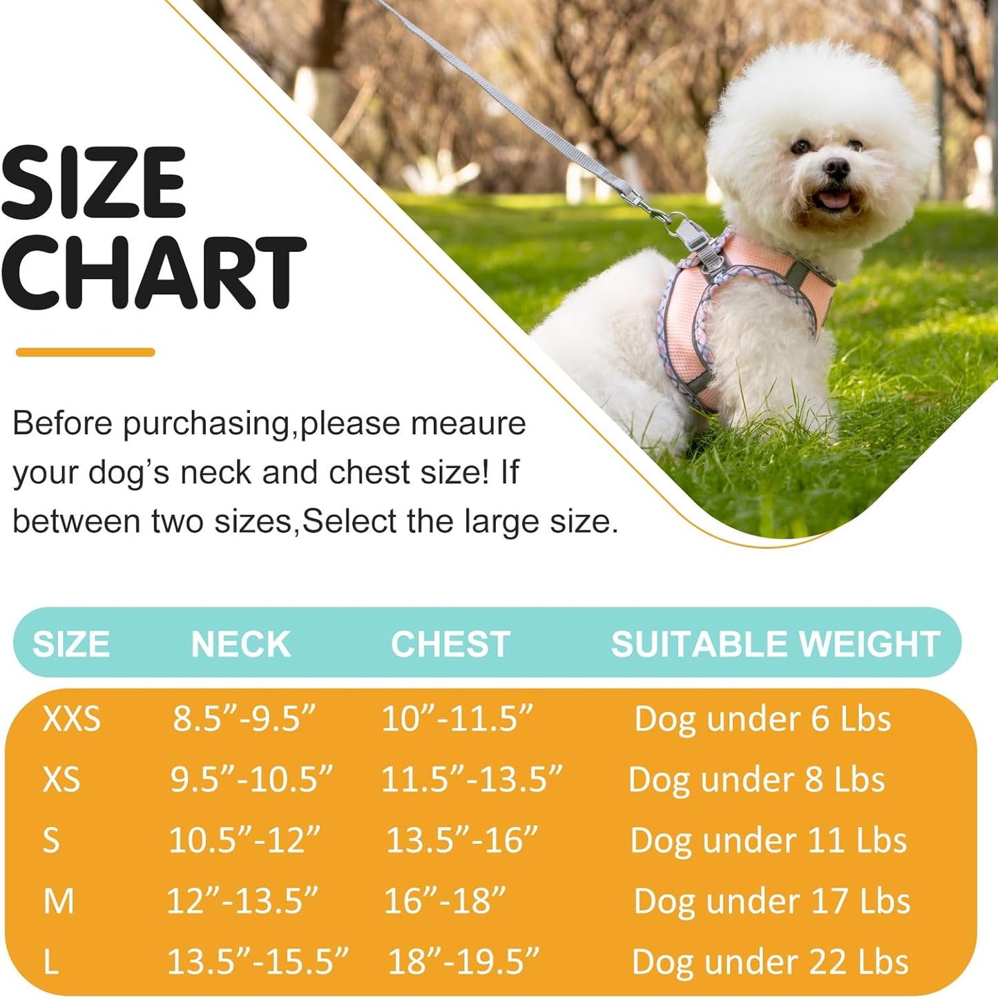 Dog Harness and Leash Set, No Pull Pet Harness for Small Dogs Easy Walking,Soft Breathable Small Dog Harness,Adjustable Reflective Step in Vest Harness for Puppy ,kitten, Cats