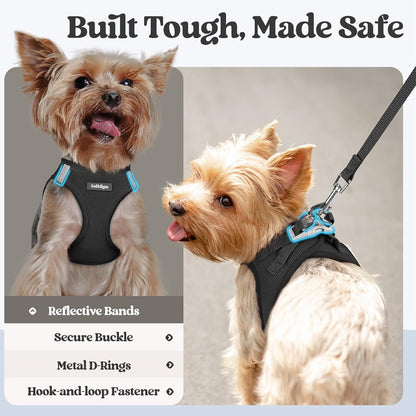 rabbitgoo Dog Harness Small Sized and Leash Set, Step in Soft Light Puppy Vest, Breathable Mesh Pet Harness, Reflective for Outdoor Safe Walking, Black XL