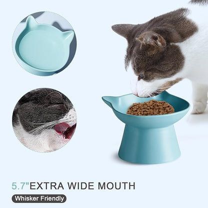 Ceramic Elevated Cat Bowl, Raised Cat Food Water Bowl for Indoor Cats with Stand, Titled Anti-Vomiting Cat Dish，Whisker Friendly, All Life Stage