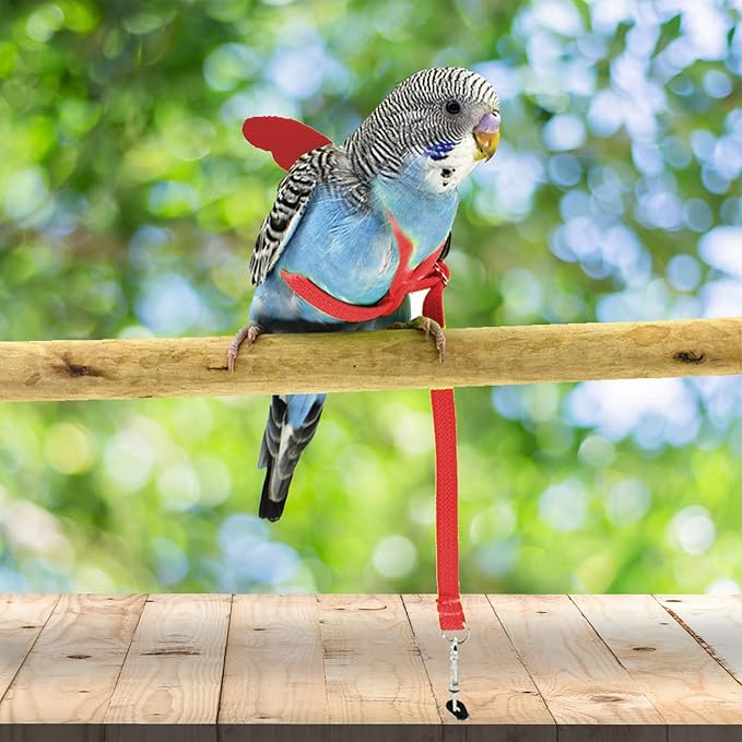 Dnoifne Pet Parrot Bird Harness and Leash, Adjustable Training Design Anti-Bite, Bird Nylon Rope with Cute Wing for Parrots, Suitable for Scarlet, Keck, Mini Macaw and Same Size Birds (red)