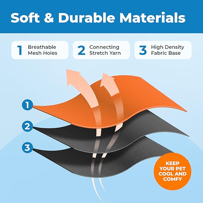 Voyager Escape Proof Cat Harness and Leash Set with Reflective Stitching, Neoprene Handle 5ft - Supports Small, Medium and Large Cats, Kittens for Walking by Best Pet Supplies - BT-Orange, XXXS