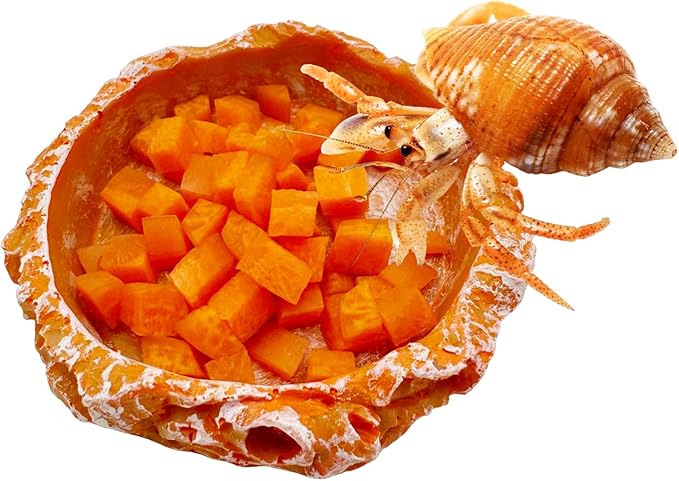 Reptile Water Dish and Food Bowls, 3 Pack Reptile Feeding Terrarium Bowl for Bearded Dragon Lizard Frog Gecko Tortoise Hermit Crab Snail (Orange)