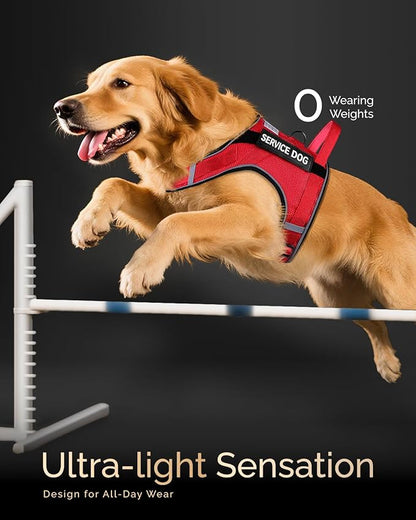 FAYOGOO Service Dog Vest for Large Dogs - Air Mesh Breathble Emotional Support Animal Vest with DIY Removable Patches - Dog Harness and Leash Set Adjustable Neck and Chest(Red,XXL)