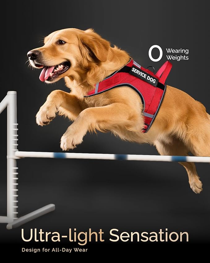 FAYOGOO Service Dog Vest for Large Dogs - Air Mesh Breathble Emotional Support Animal Vest with DIY Removable Patches - Dog Harness and Leash Set Adjustable Neck and Chest(Red,XL)