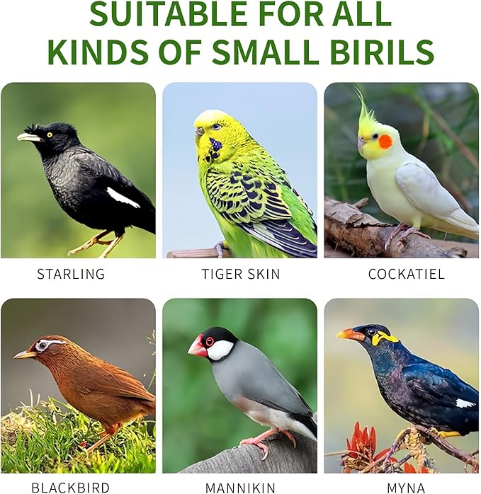 Pet Bird Automatic Water Dispenser,Bird Cage Hanging Drinking Device,Automatic Parrot Water Feeder,Budgies, Birds, Love Birds, Canary Drinking Fountains.