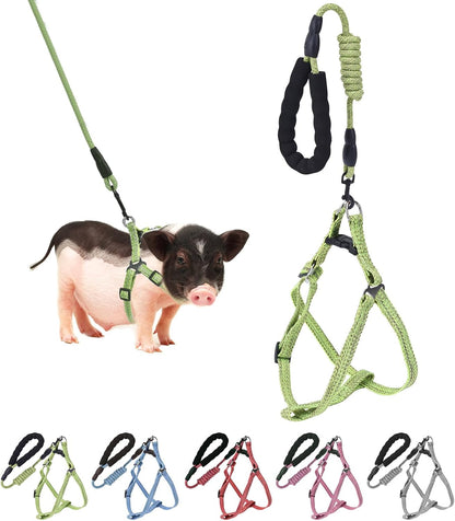 Mini Pig Harness, Adjustable Small Pig Harness with Leash Infinity Style Lead and Soft Foam Handle for Small to Medium Pet Pigs Walking Training Jogging (Green, XL)