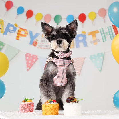 Beirui Cute Extra Small Dog Harness Collar and Leash Set with Bowtie, Soft Adjustable Plaid Puppy Harness for Small Sized Dogs Cats Walks Parties and Photoshoots(Pink,XS:Chest 13-18")