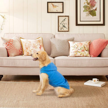 EXPAWLORER Dog Hoodie Fleece Sweater Vest, Hooded Dog Sweatshirt Fall Winter Pet Clothes with Leash Hole, Sleeveless Warm Cozy Puppy Clothing for Cat Small Medium Large Dogs Girl Boy, Blue XL