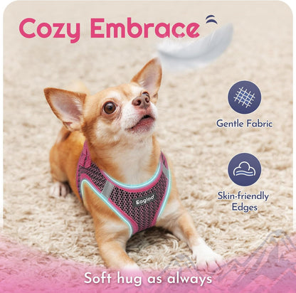 Eagloo Small Dog Harness and Leash Set, Step in Puppy Vest with Breathable Soft Mesh, Walking Reflective Pet Harness for Medium Small Dogs, Rose Red, L