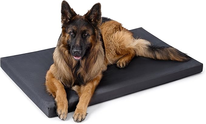 Cybarmour Chew Proof Dog Bed - Orthopedic Indestructible Dog Crate Pad - Outdoor Waterproof Kennel Mat for Aggressive Chewers - Extra Large Breeds & Fits 48-Inch Crate - 47"x29", Black