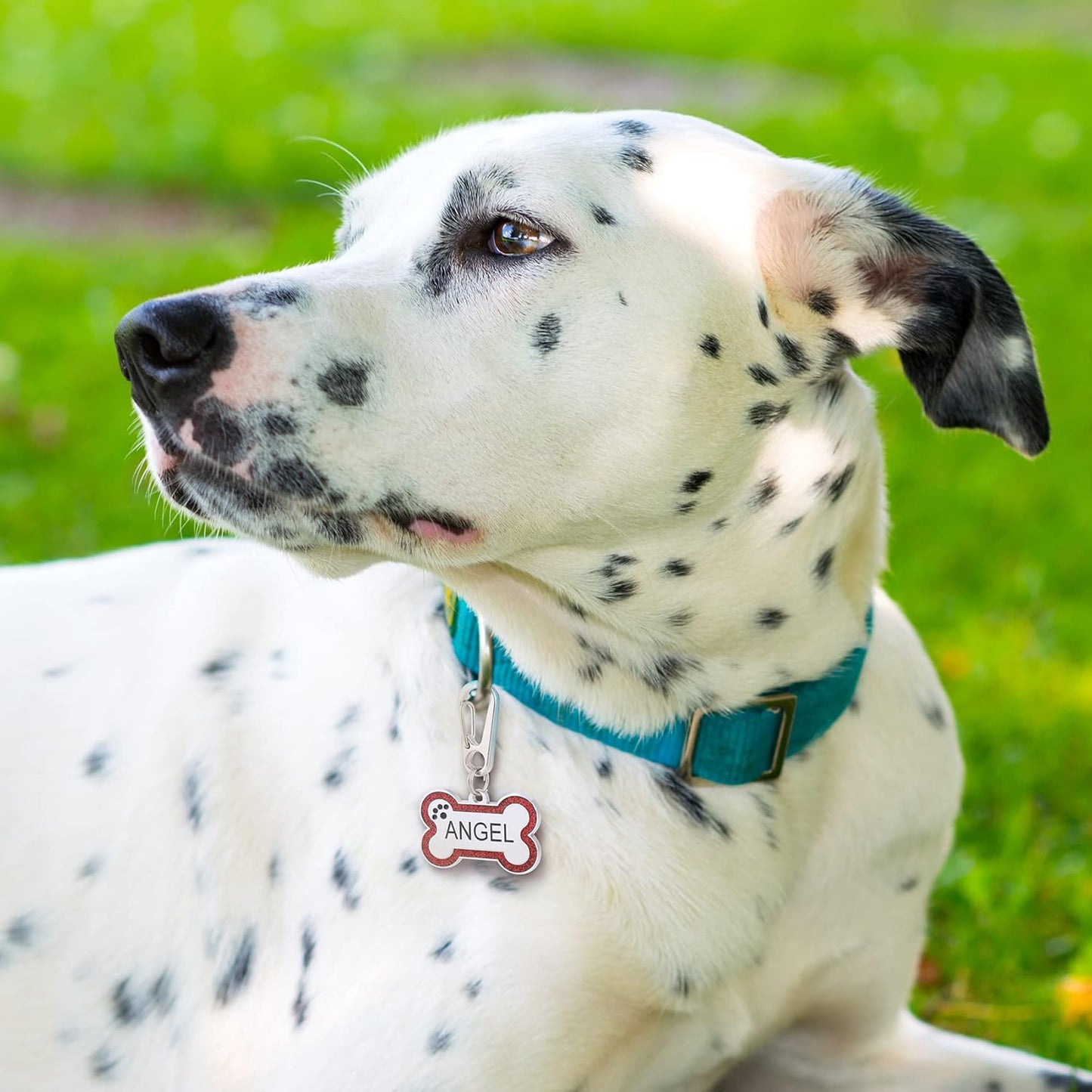 Personalized Stainless Steel Pet ID Tags with Glittery Bone Design - DEEP Engraved Dog Tags Engraved for Pets Customized with 5 Lines Dogs and Cats Pets