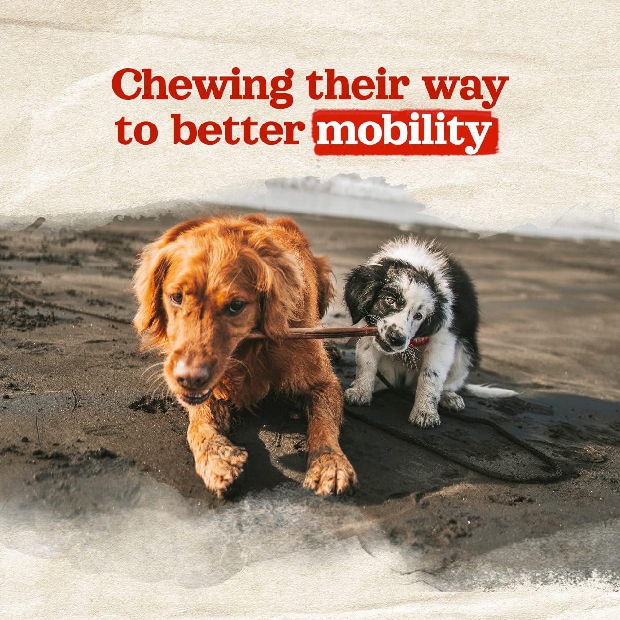 Natural Farm Collagen Chews. 6 Inch, 10 Pack. Odor-Free Long Lasting Bully Sticks & Rawhide Alternative Dog Treats, 95% Collagen Low Fat, High Protein Best Dental Dog Treats – Medium & Large Dogs