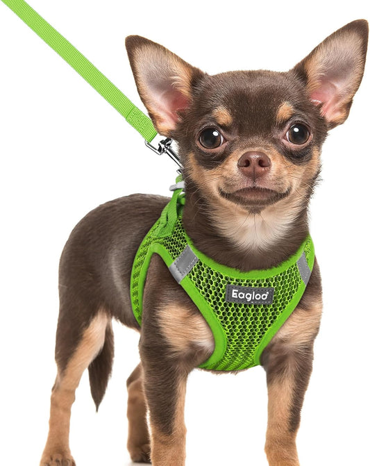 Eagloo Small Dog Harness and Leash Set, Step in Puppy Vest with Breathable Soft Mesh, Walking Reflective Pet Harness for Extra Small Dogs, Green, XXS