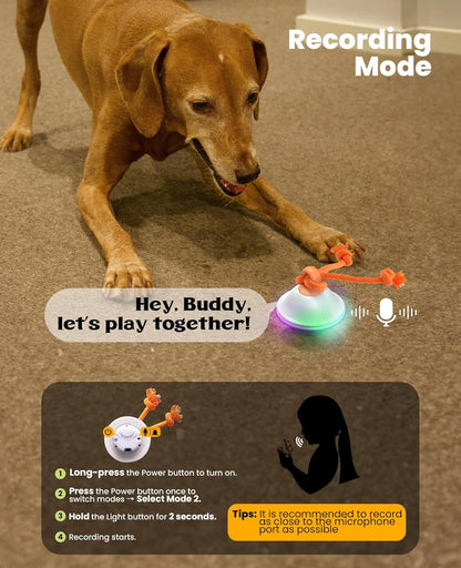 Smart Interactive Dog Toys, Automatic Moving and Rolling Dogs Ball with Rope, Motion-Activated Wicked Ball for Small Medium Dogs for Boredom, RGB Lights, Stimulating Sound, Voice Recording