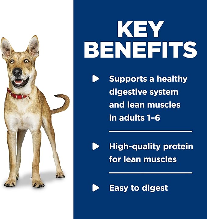 Hill's Science Diet Adult 1-6, Adult 1-6 Premium Nutrition, Wet Dog Food, Beef & Barley Loaf, 5.8 oz Can, Case of 24