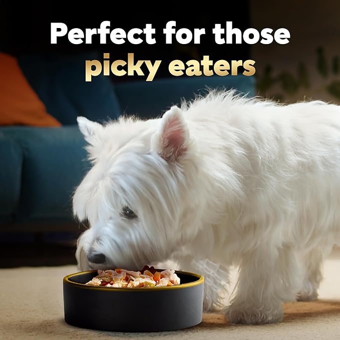 Cesar Simply Crafted Adult Wet Dog Food Meal Topper, Chicken Recipes and Beef Recipe Variety Pack, 1.3 oz. Trays (40 Count, Pack of 1)