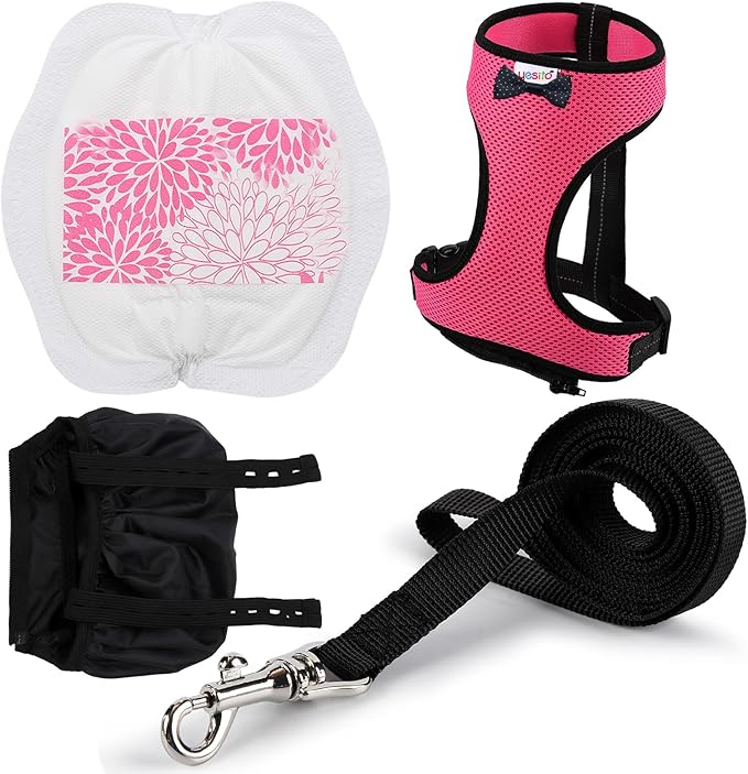 Adjustable Chicken Harness Diaper (5.4ft Leash) – Breathable & Washable Secure Training for Hens, Ducks & Chicks | Outdoor Walking & Discipline Solution (Months, Pink)