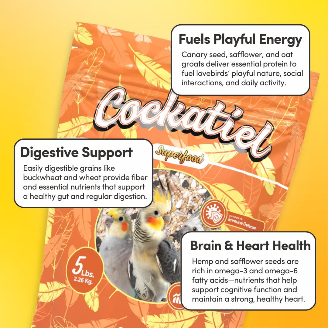 Mycelium Organic Cockatiel Superfood Bird Seed (5 LBS) | Premium Bird Food for Cockatiels & Small Parrots | Supports Immunity, Digestion & Development | Non-GMO, No Fillers, Made in USA