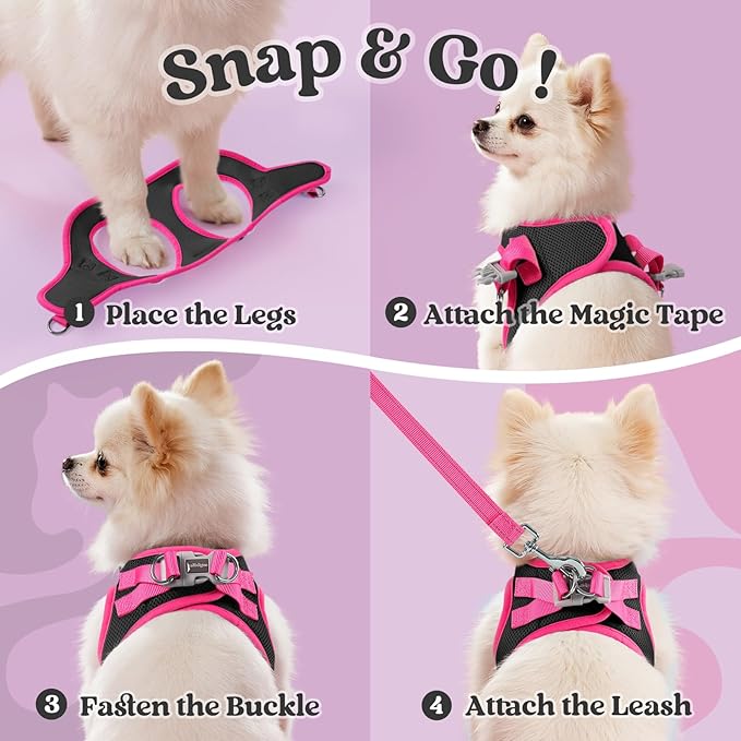 rabbitgoo Dog Harness Small Sized and Leash Set, Step-in Breathable Pet Harness, Soft Walking Reflective Puppy Vest for Small Dogs, Black & Rose Red, L