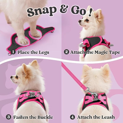 rabbitgoo Dog Harness Small Sized and Leash Set, Step-in Breathable Pet Harness, Soft Walking Reflective Puppy Vest for Small Dogs, Black & Rose Red, L