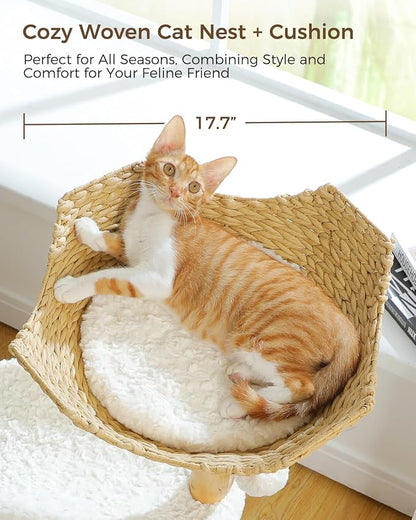 Modern Cat Tree Tower for Large Cats, Wood Cat Tower with Natural Scratching Post, Solid Wood Condo, Real Branch Luxury Cat Furniture with Curved Bed, Top Basket, White