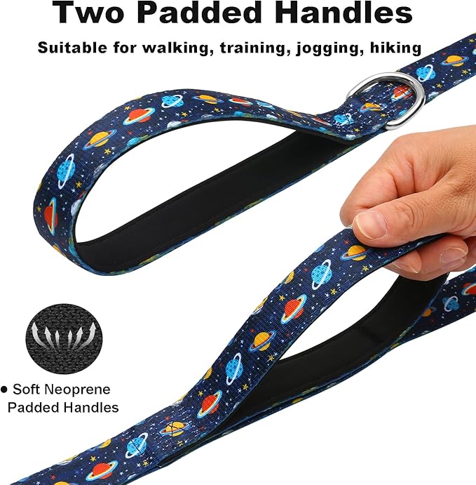 6ft Dog Leash with Two Padded Handles, Heavy Duty Strong Nylon Pet Leash with Soft Neoprene Handle for Small Medium Large Dogs, Blue Space