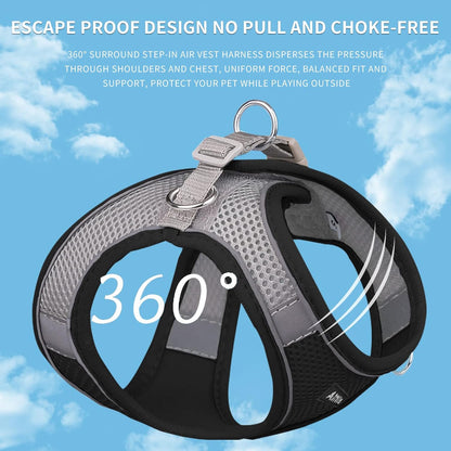 AIITLE Small Harness for Puppy with A Leash - Summer Dog Vest Harness with Super Breathable Mesh, Reflective No-Pull Pet Harness for Outdoor Walking, Camping for Small Dogs, Cats Black XXS