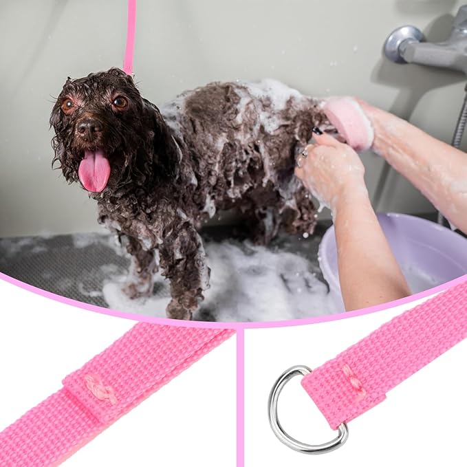 Hypeety 6 Pcs Bulk Pack Slip Leads Dog Pet Grooming Kennel Small Animal Control Shelter Lead Leash