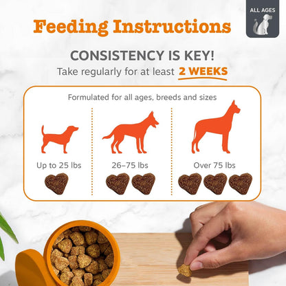 Zesty Paws Vet Strength Dog Allergy Relief Chews, Dog Probiotics for Itchy Skin and Ears, Smoked Cheese, 90ct