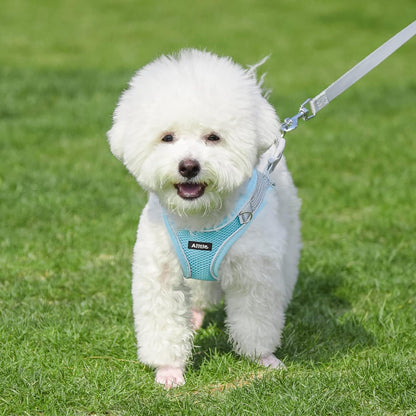 AIITLE Small Dog Harness with Leash, Breathable Mesh Vest, Reflective No-Pull Pet Harness for Outdoor Walking, Camping for Small Dogs, Cats, Blue XXS
