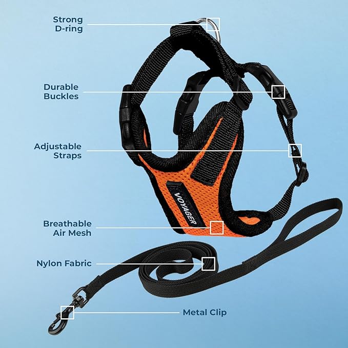 Voyager Step-in Lock Adjustable Cat Harness w. Cat Leash Combo Set with Neoprene Handle 5ft - Supports Small, Medium and Large Breed Cats by Best Pet Supplies - Orange/Black Trim, XXXS
