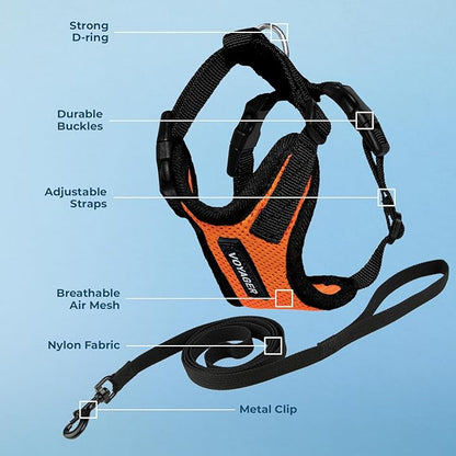 Voyager Step-in Lock Adjustable Cat Harness w. Cat Leash Combo Set with Neoprene Handle 5ft - Supports Small, Medium and Large Breed Cats by Best Pet Supplies - Orange/Black Trim, XXXS