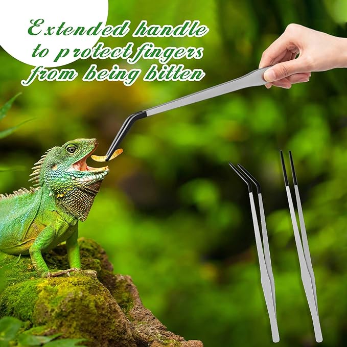 Lasnten 2 Pcs Extra Long Stainless Steel Reptile Feeding Tongs with Rubber Tip Bearded Dragon Aquarium Straight and Curved Long Tweezer Terrarium Feeder Tool for Tank(Silver, 15 Inch)