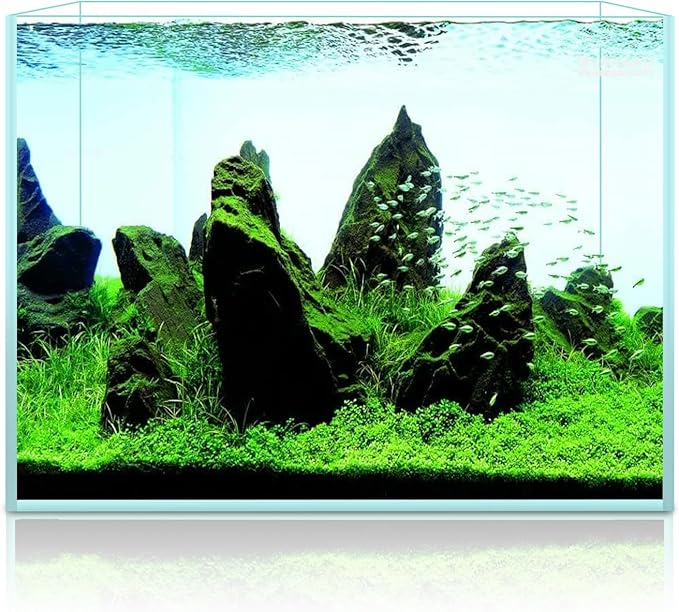 LYPHARD AQUARIUMS 2.5 Gallon Rimless Aquarium Tank, Ultra Clear Low Iron Nano Fish Tank for Betta Shrimp, L11.8×W5.5×H9.8 Glass Thickness 5mm with EVA Foam Leveling Mat