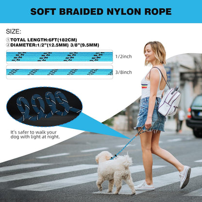 lynxking Slip Lead Dog Leash Reflective, Heavy Duty Comfortable Strong Rope for Large Medium Small Dogs No Pull Pet Training (Light Blue, Small 3/8in x 6ft-Slip Lead)