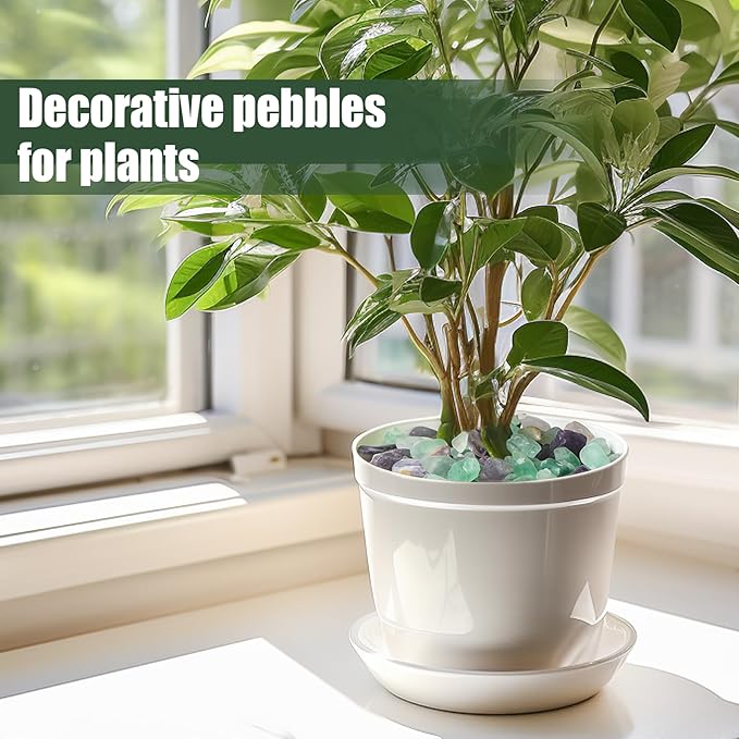 T4U Fluorite Aquarium Gravel Rocks 3 Lbs, Crystals Chip Bulk for Fish Tank, Decorative Pebbles Bulk for Plants, Vase Filler Stones, Natural Quartz Chips Stones for Decoration, Healing Crystal